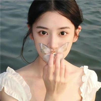 鲨鱼的儿子