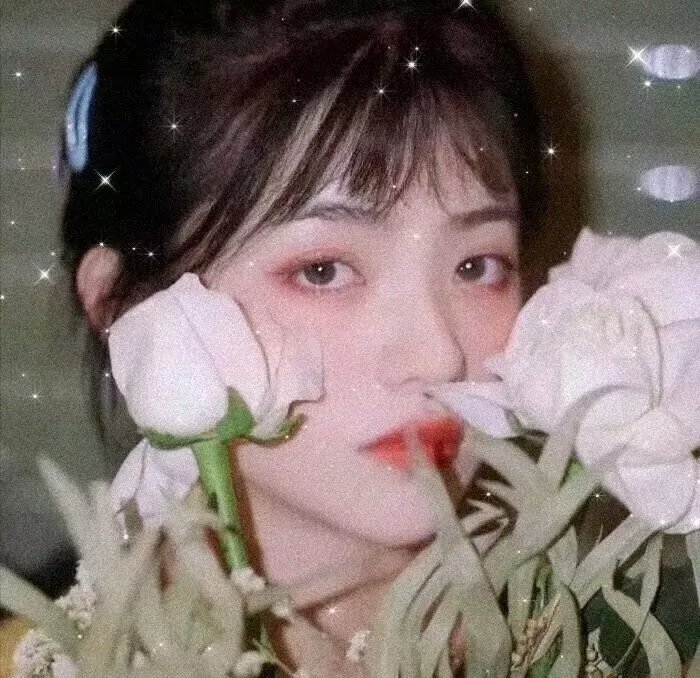 小镇猪事